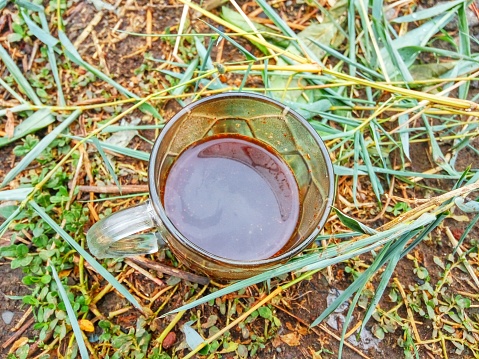 Appearance of a cup of coffee surrounded by twigs and leaves