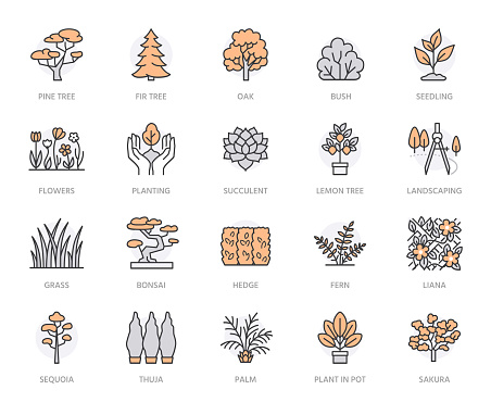 Trees flat line icons set. Plants, landscape design, fir tree, succulent, privacy shrub, lawn grass, flowers vector illustrations. Thin signs for garden store. Orange color. Editable Stroke.