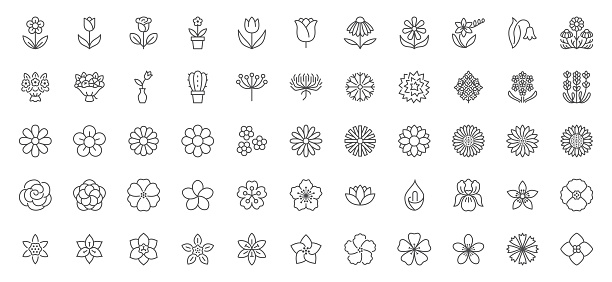 Flowers line icons set. Blooming plants - rose, tulip, daisy bouquet, sunflower, lotus, chamomile, dandelion, chrysanthemum, lily vector illustration. Outline signs for floral shop. Editable Stroke.