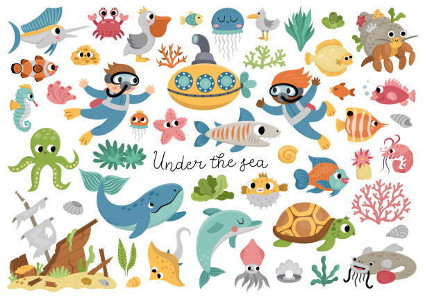 ilustraciones, imágenes clip art, dibujos animados e iconos de stock de conjunto vectorial bajo el mar. colección oceánica con algas, peces, buzos, submarinos. animales acuáticos de dibujos animados y malezas para niños. clipart con barco destrozado, delfín, ballena, tortuga, pulpo - dolphin animal sea underwater