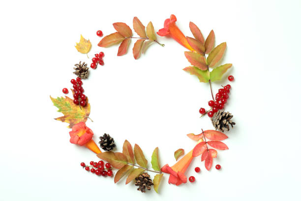 istock Thanksgiving Day composition on white background, top view 1474804443
