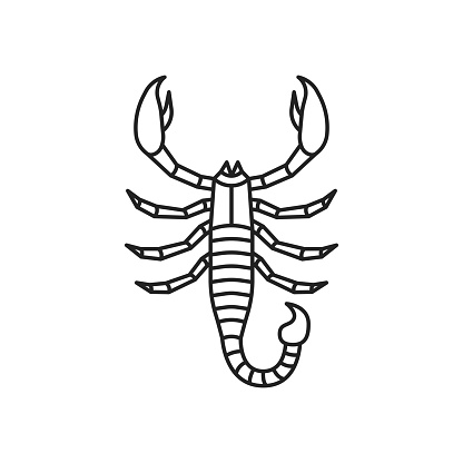 Scorpio insect icon. High quality black vector illustration.