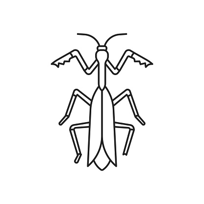Praying mantis insect icon. High quality black vector illustration.