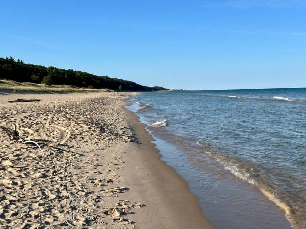 istock Lake Michigan Manistee National Forest Beach 1474805005