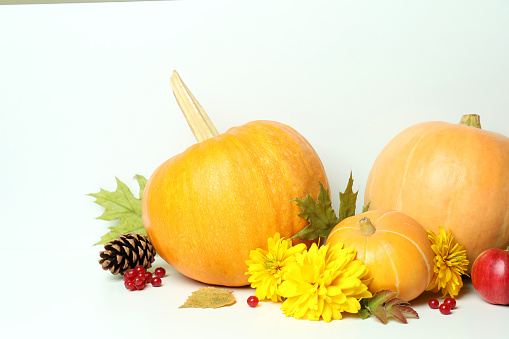 Thanksgiving Day composition with pumpkins on white table