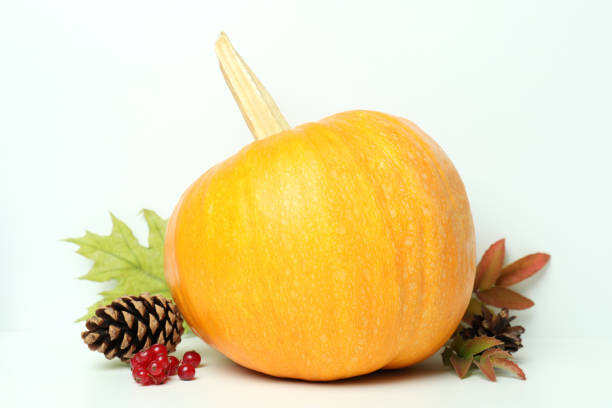 istock Thanksgiving Day composition with pumpkin on white table 1474805142