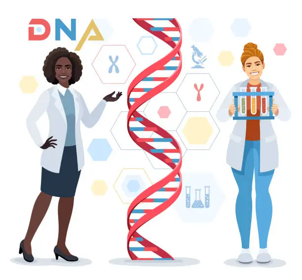 Vector illustration of African-American Female Doctor character showing DNA Spiral Model. Scientist with a test tube. Medical laboratory concept. Medical laboratory concept.