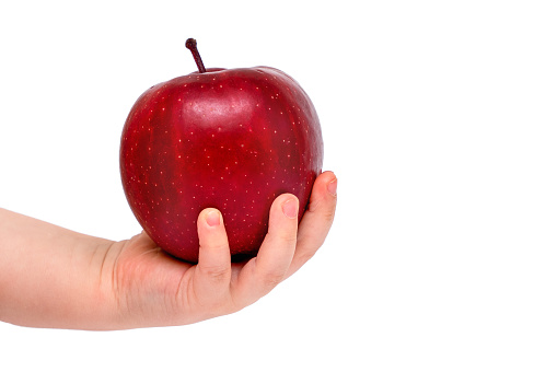 Juicy red apple in the hand of a baby isolated on white background