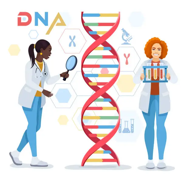 Vector illustration of African-American Female Doctor character are testing DNA with magnifier. Scientist with a test tube. Medical laboratory concept. Medical laboratory concept.