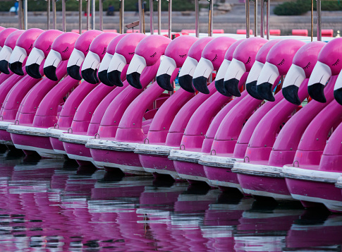 Flamingo Recreational Boat Docked In a Row