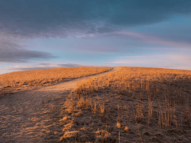 istock Glowing golden hay field in the winter 1474815461