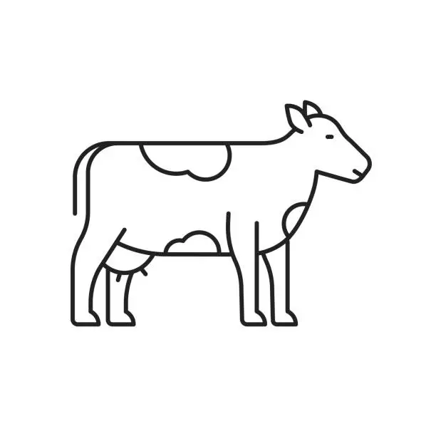 Vector illustration of Cow icon. High quality black vector illustration.