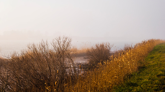 a foggy landscape inside the lagoon of the Delta of the Po River during the winter season, Porto Tolle, Rovigo