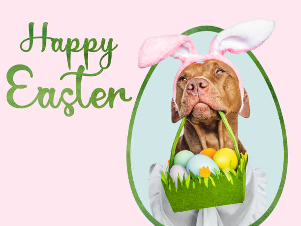 istock Lovable, pretty puppy and a basket of Easter eggs 1474817859