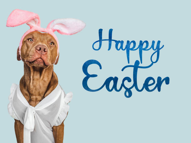 istock Happy Easter. Lovable, pretty puppy and congratulatory message 1474818047