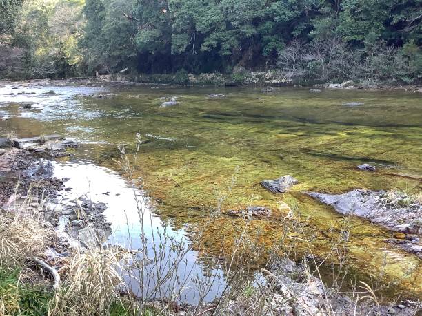 istock Scenery along the Ure River in Horaikyo at Yuya Onsen 1474821276