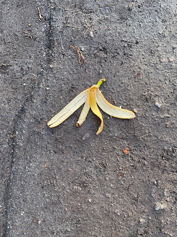 Banana peel on the road.
