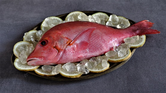 Red Snapper. Fresh Raw red Snapper Fish with slice of limes on rustic oval tray and grey background. Lutjanus campechanus. In Indoneasia also known as Kakap Merah. Fresh Seafood which rich of protein.