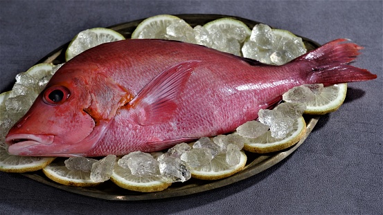 Red Snapper. Fresh Raw red Snapper Fish with slice of limes on rustic oval tray and grey background. Lutjanus campechanus. In Indoneasia also known as Kakap Merah. Fresh Seafood which rich of protein.