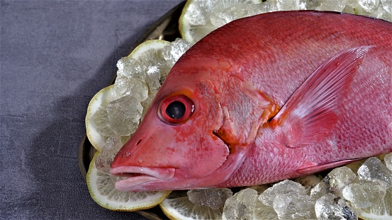 Red Snapper. Fresh Raw red Snapper Fish with slice of limes on rustic oval tray and grey background. Lutjanus campechanus. In Indoneasia also known as Kakap Merah. Fresh Seafood which rich of protein.