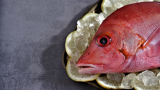 Red Snapper. Fresh Raw red Snapper Fish with slice of limes on rustic oval tray and grey background. Lutjanus campechanus. In Indoneasia also known as Kakap Merah. Fresh Seafood which rich of protein.