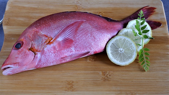 Red Snapper. Close view on fresh Raw Red Snapper Fish on wooden board. Lutjanus campechanus. In Indoneasia also known as Kakap Merah. Fresh Seafood which rich of protein. Export commodity. Indonesia