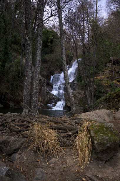 istock Las Nogaledas waterfall in Valle del Jerte vertically with vegetation in the foreground 1474824700
