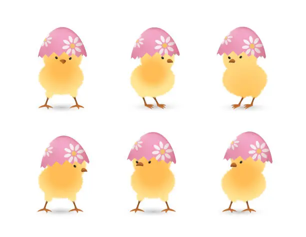 Vector illustration of Chicks in broken flower easter eggs top set