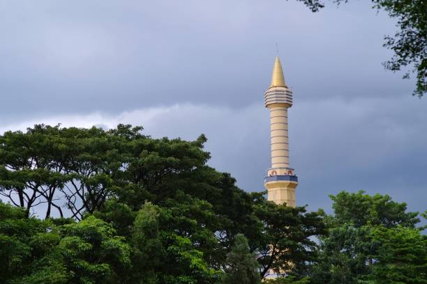 the tower of mosque that rises high among the green trees - foliate pattern audio imagens e fotografias de stock