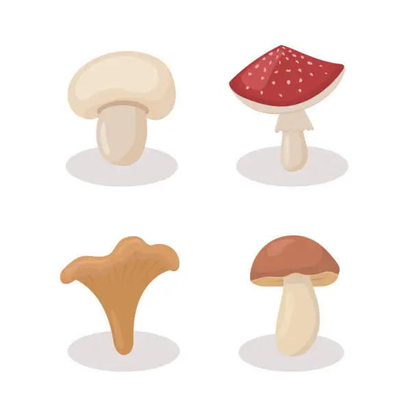 Vector illustration of Set of different mushrooms. Cartoon, flat style illustration.
