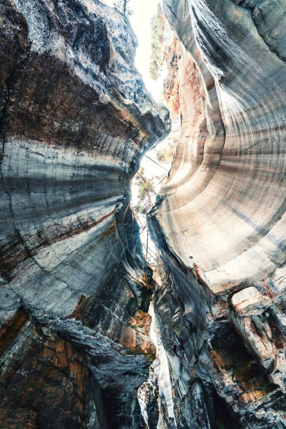 majestueux canyon maligne avec montagne calcaire en hiver - vertical scenics ice canada photos et images de collection