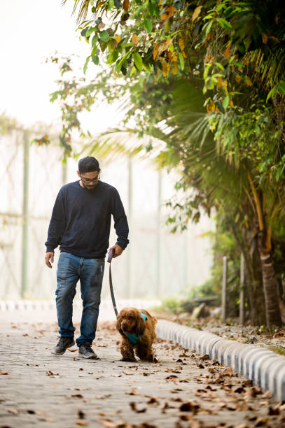 istock Young Man walking With his Pet Dog At Park 1474832766