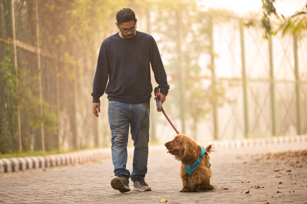 istock Young Man walking With his Pet Dog At Park 1474832775