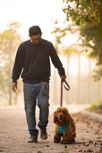 Mature Young Asian/Indian Man walking With his Pet Dog golden retriever at Park - family, pet, animal and people concept.