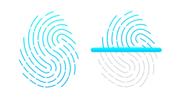 istock Fingerprint scanner a white background. Biometric fingerprint password with padlock and shield icon. Touch ID. Secure login identification. Password interface. Vector illustration 1474834803