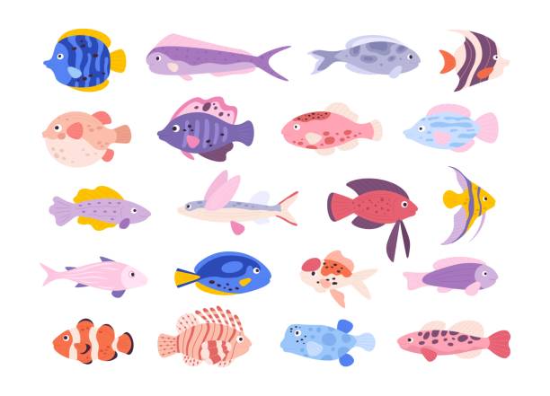 illustrations, cliparts, dessins animés et icônes de dessin animé mignon océan tropical exotique poissons d’aquarium. poissons rouges, tétra, barbe, poisson-ange et poisson-lion. ensemble de vecteurs pour petits poissons d’eau douce - guppy poisson