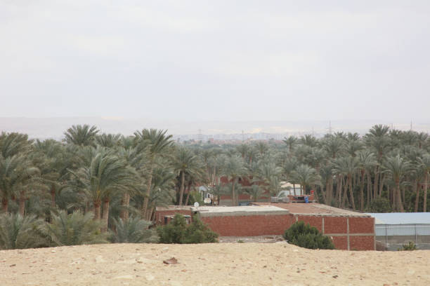 Villages near Aswan in Egypt