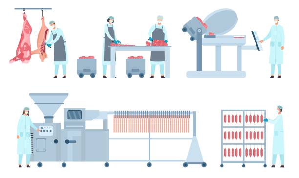 Beef sausages production process stages in factory with workers. Livestock meat products industry and manufacturing line machine vector set Beef sausages production process stages in factory with workers. Livestock meat products industry and manufacturing line machine vector set. People working with different equipment meat cartoon stock illustrations