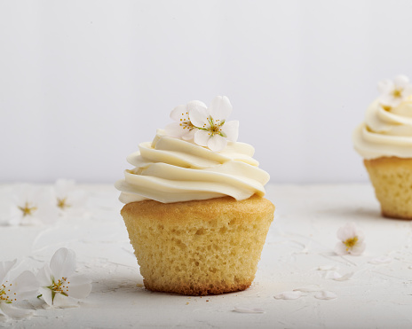 Spring vanilla cupcakes with vanilla frosting with white cherry blossom edible flowers