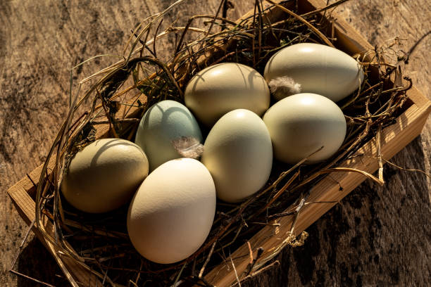 istock farmers fresh eggs on a wooden box 1474835818