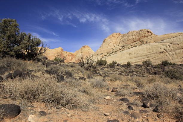 istock The Rim Overlook scenic 1474837092