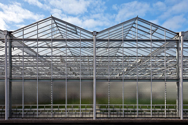 istock Front view of a newly build greenhouse 147483936