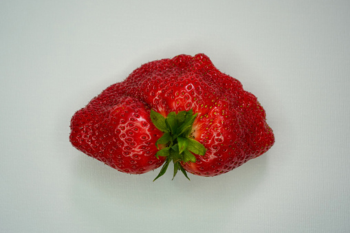 a special strawberry