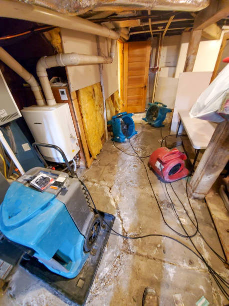 istock Water restoration equipment in the basement 1474842516