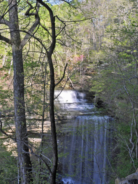 istock Big Clifty Falls, Jefferson County Indiana springtime 1474843987