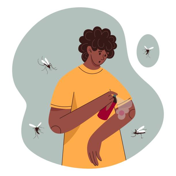 illustrations, cliparts, dessins animés et icônes de moustique. caractère masculin pulvérisant un aérosol répulsif. bugs chauds. personne en été. sécurité de l’homme à la saison. piqûre d’insecte. paludisme par dengue. plaie de sangsue. concept vectoriel flat tidy - stinging