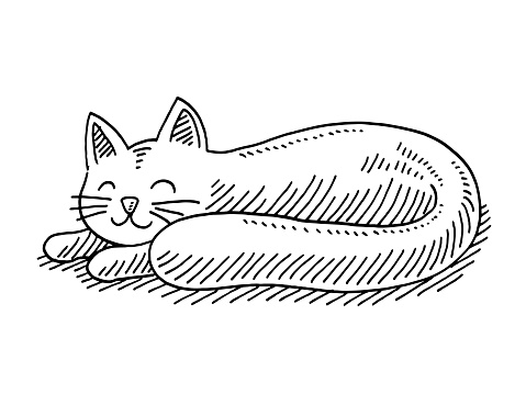 Hand-drawn vector drawing of a Cute Sleeping Cat. Black-and-White sketch on a transparent background (.eps-file). Included files are EPS (v10) and Hi-Res JPG.