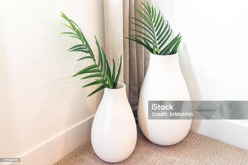 Two vases with green potted plant branch home interior decoration with white walls in staging model house room showing in corner closeup Houseplant Stock Photo