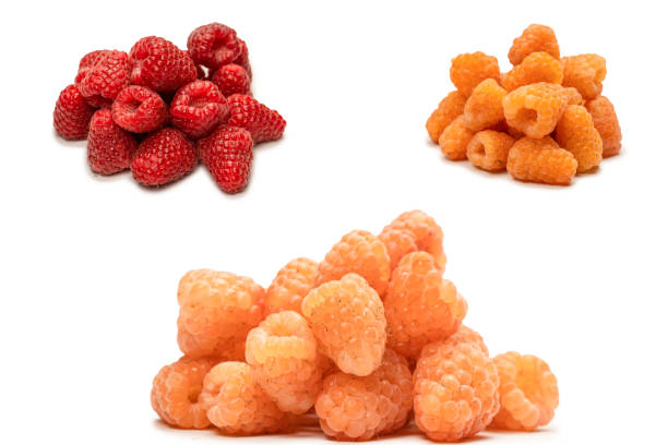 istock Tasty raspberries isolated on  white background. 1474852495