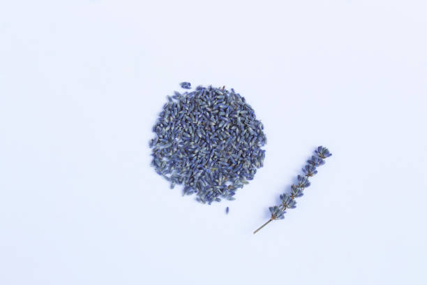 High angle view of a dried lavender flowers bouquet on a dark colored background